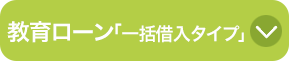 教育ローン「一括借入タイプ」