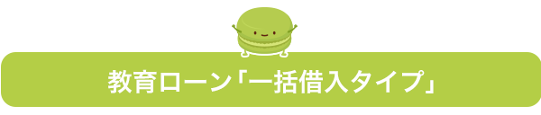 教育ローン「一括借入タイプ」